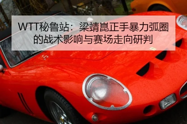 bi-lu-zhan-liang-jing-kun-zheng-shou-bao-li-hu-quan-de-zhan-shu-ying-xiang-yu-sai-chang-zou-xiang-yan-pan-3-854.jpg